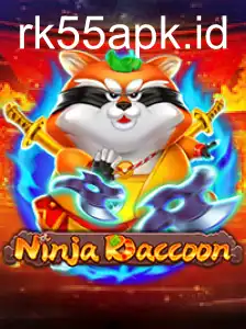 NinjaRaccoon